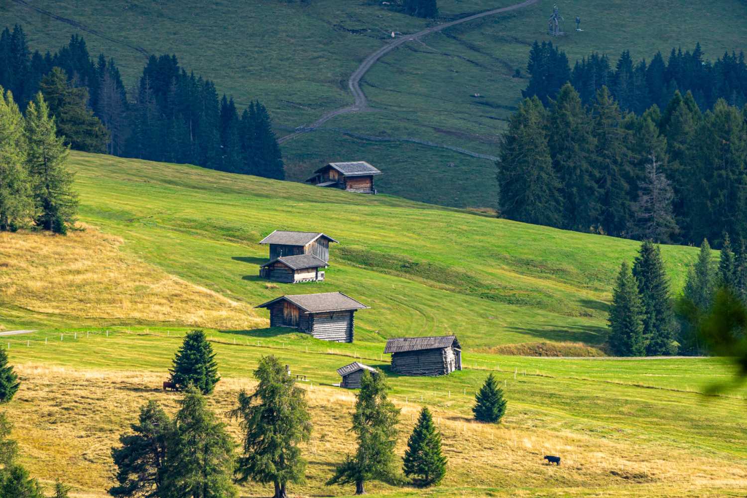 能源管理系統(tǒng)，城市綠色發(fā)展，節(jié)能減排