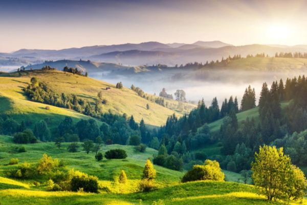 達(dá)成“雙碳”目標(biāo)不只是“減碳”！